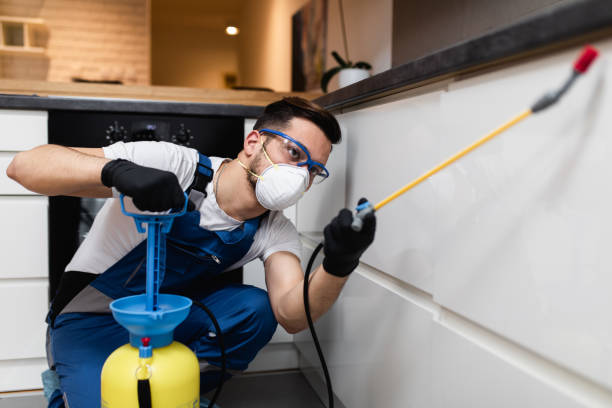 Best Insect Control  in Port Neches, TX