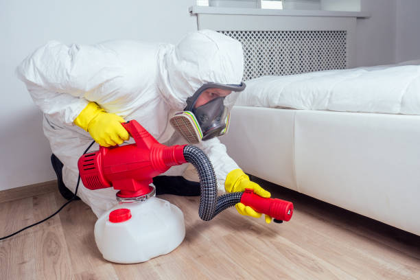 Best Best Pest Control Companies  in Port Neches, TX