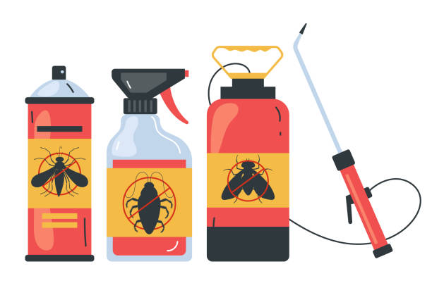 Best Spider Control Near Me  in Port Neches, TX