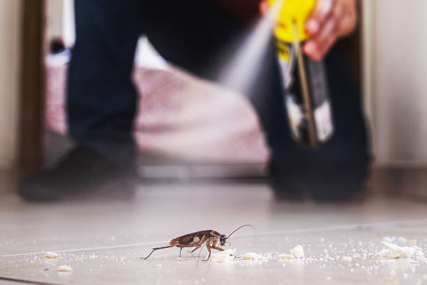 Pest Control for Restaurants in Port Neches, TX