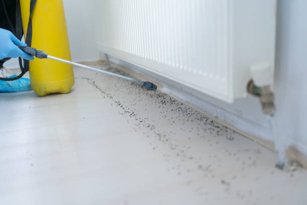 Best Emergency Pest Control  in Port Neches, TX