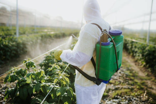 Best Emergency Pest Control  in Port Neches, TX
